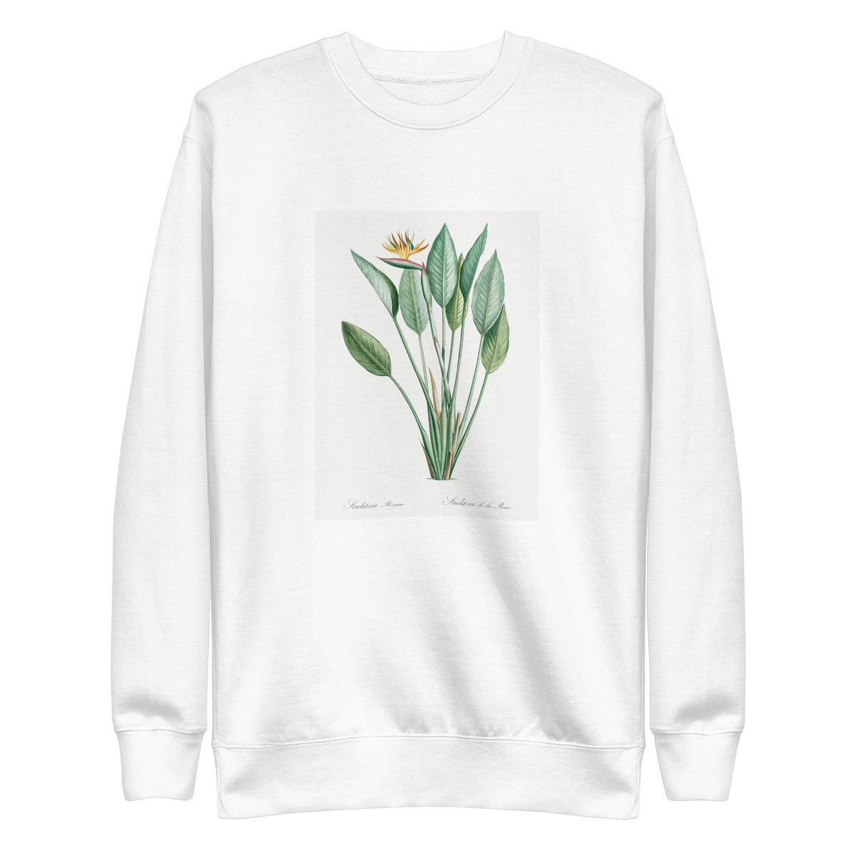 White Sweater Bird Of Paradise Illustration II Signature