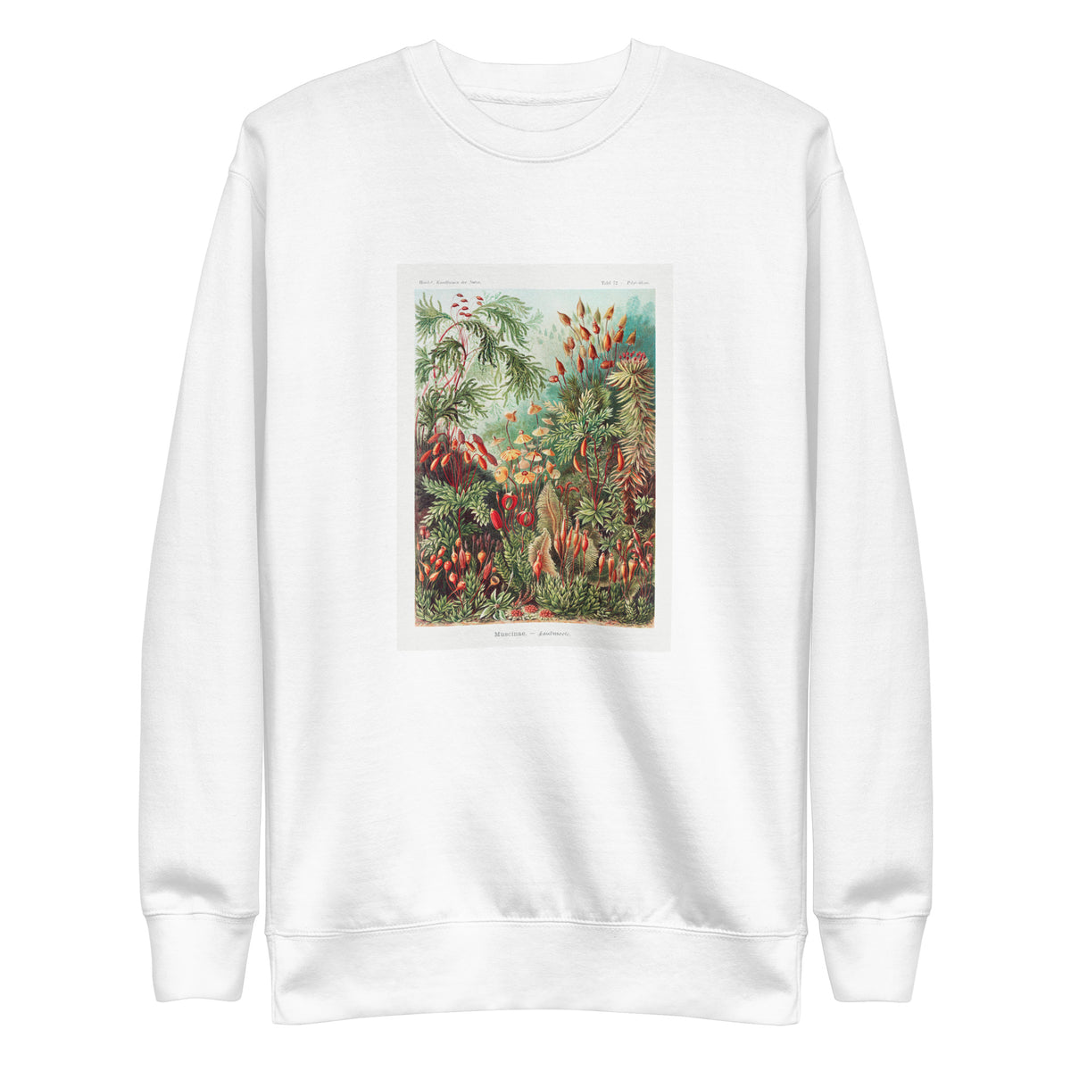 White Sweater Muscinae Laubmoose A Giltsch Gem Signature