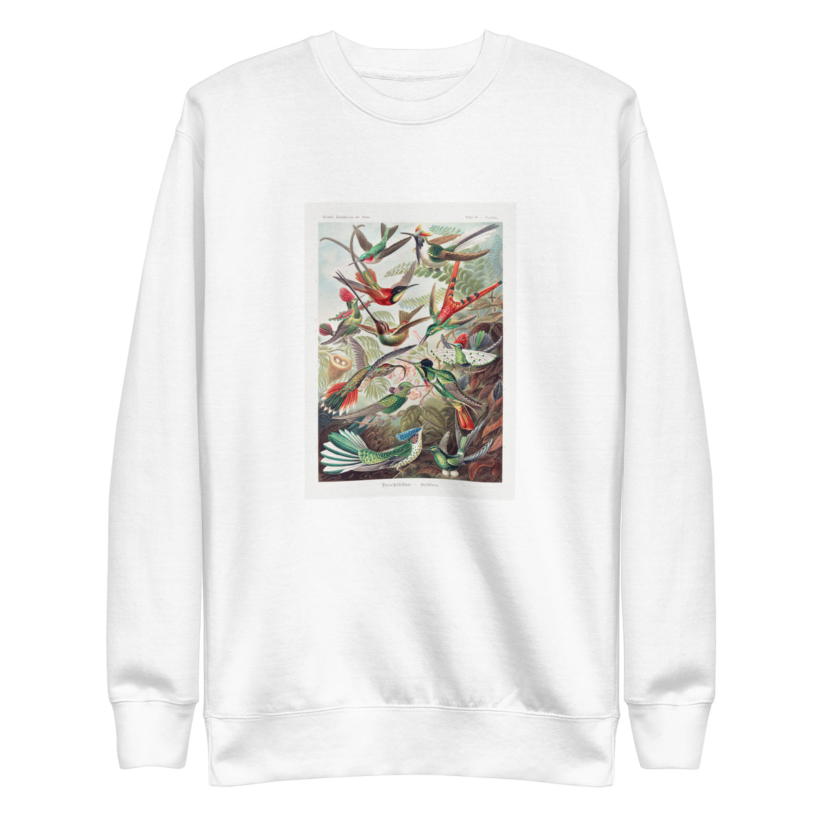 White Sweater Trochilidae Kolibris Signature